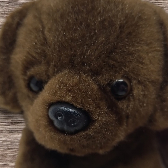 AURORA MIYONI TOTS PLUSH STUFFED ANIMAL CHOCOLATE LABRADOR PUPPY DOG - Picture 2 of 8